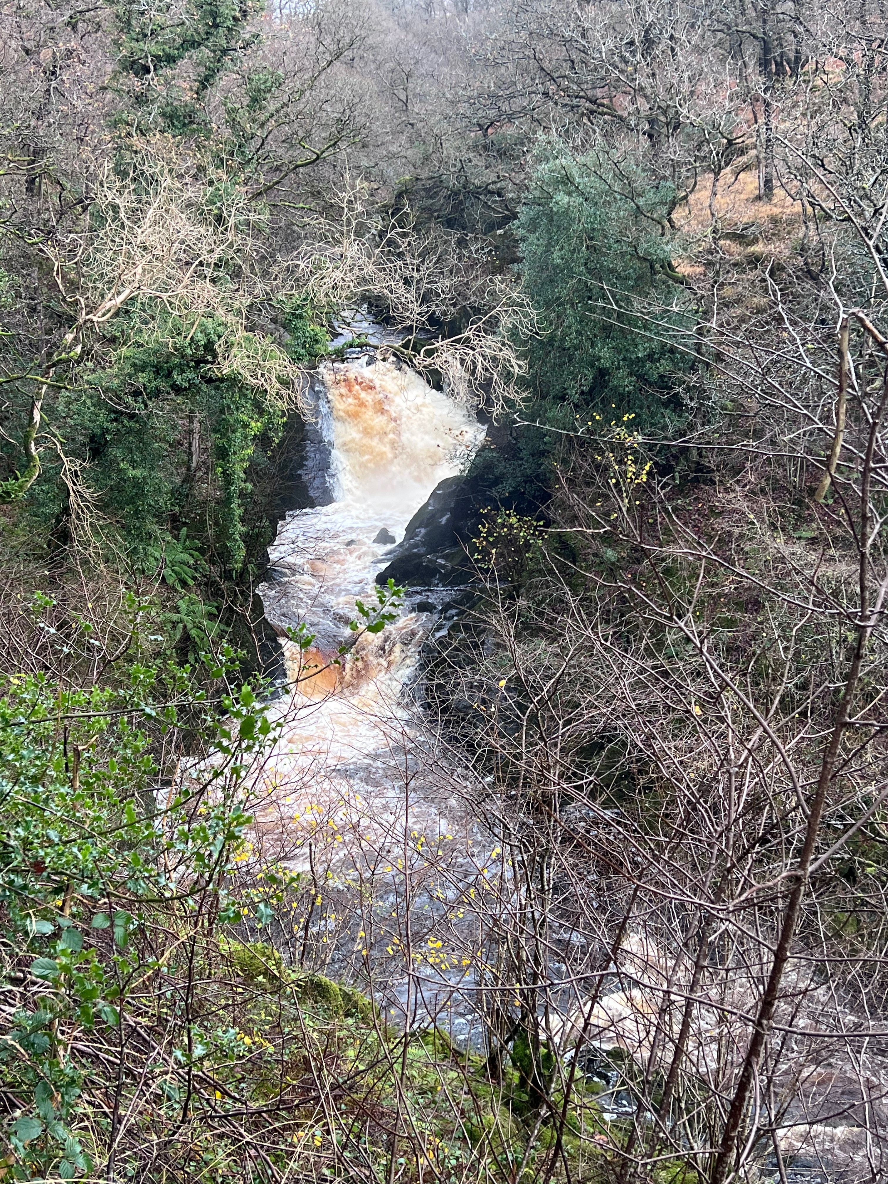 Ingleton Falls 10