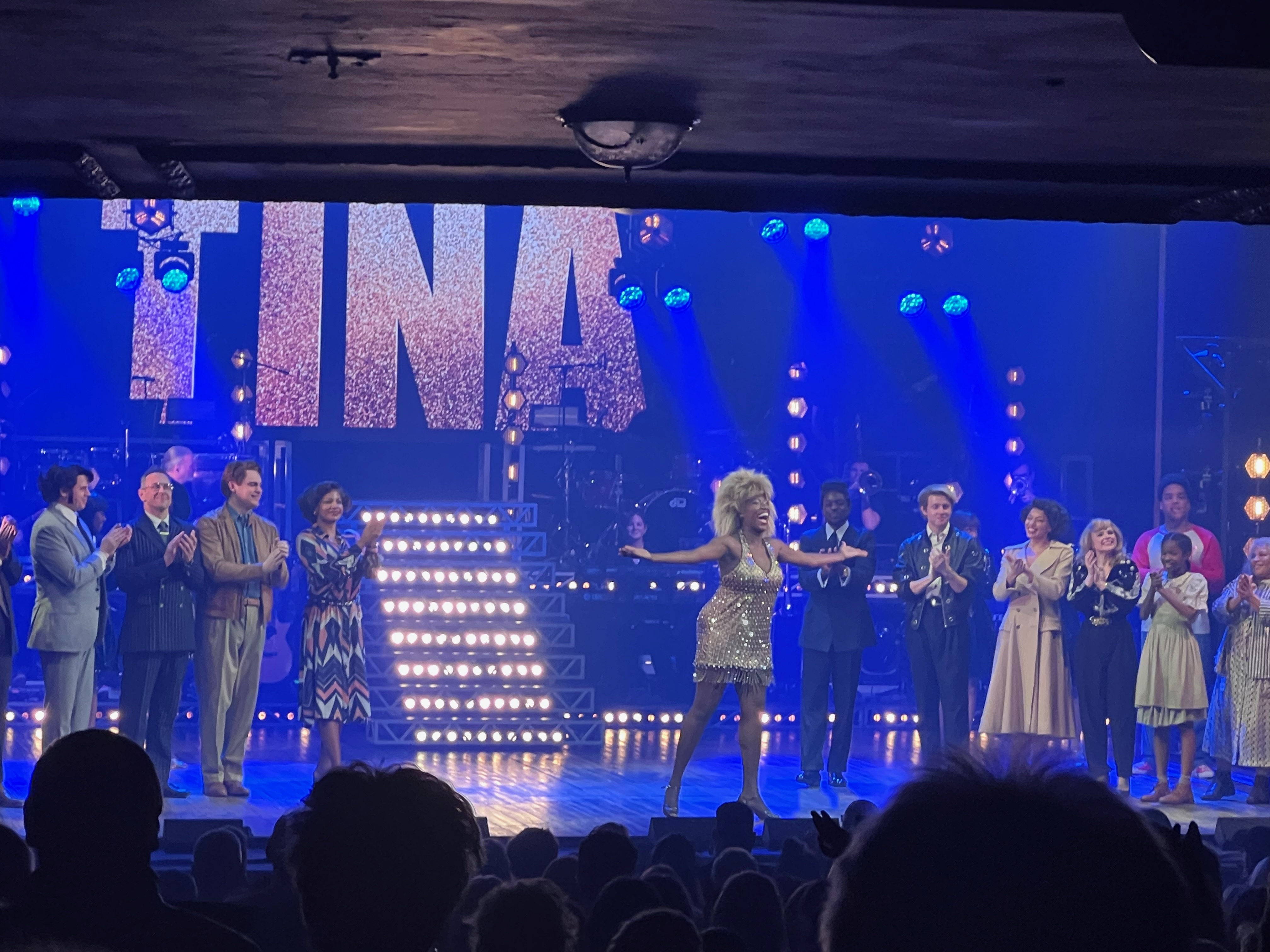 Tina Turner the Musical