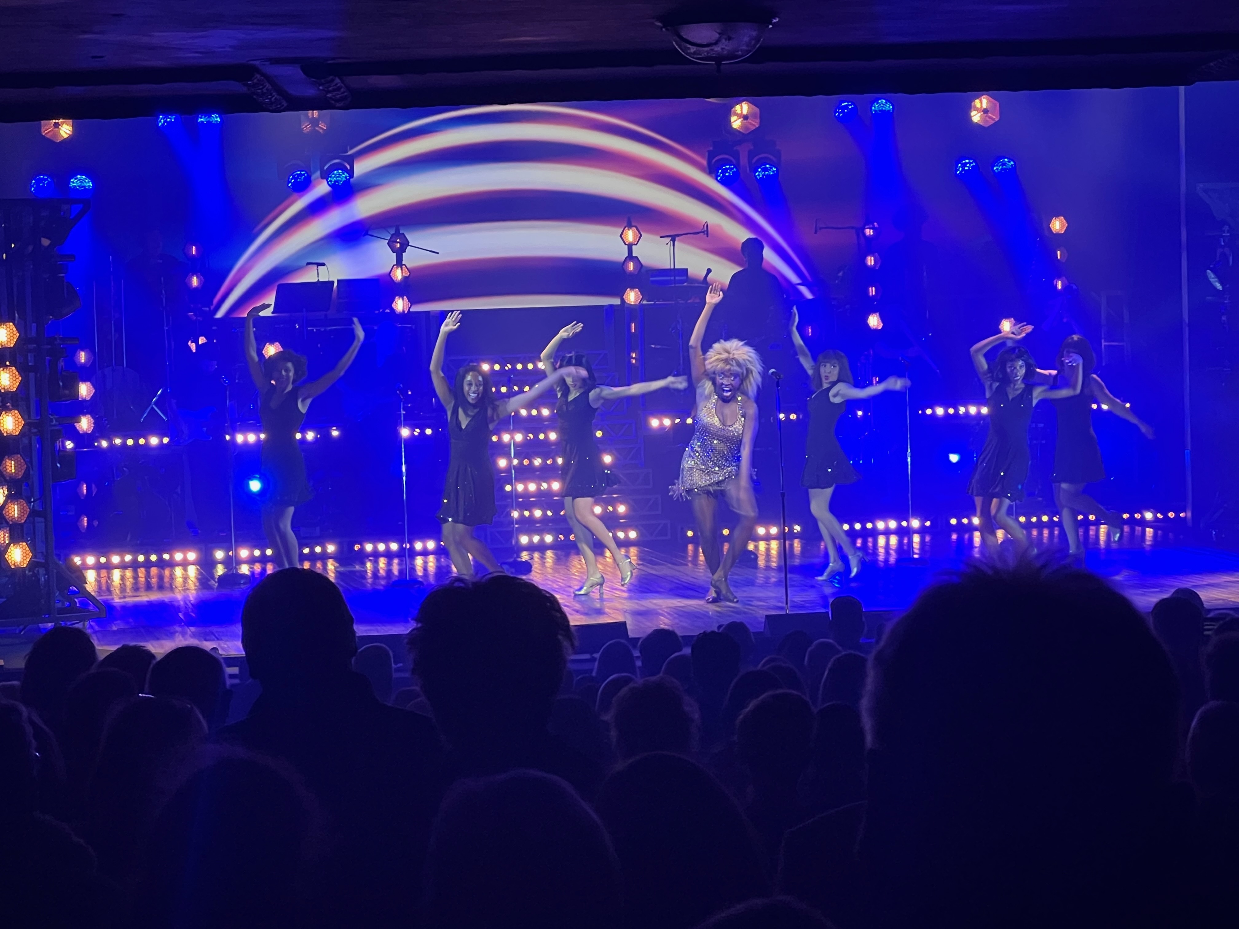 Tina Turner the Musical