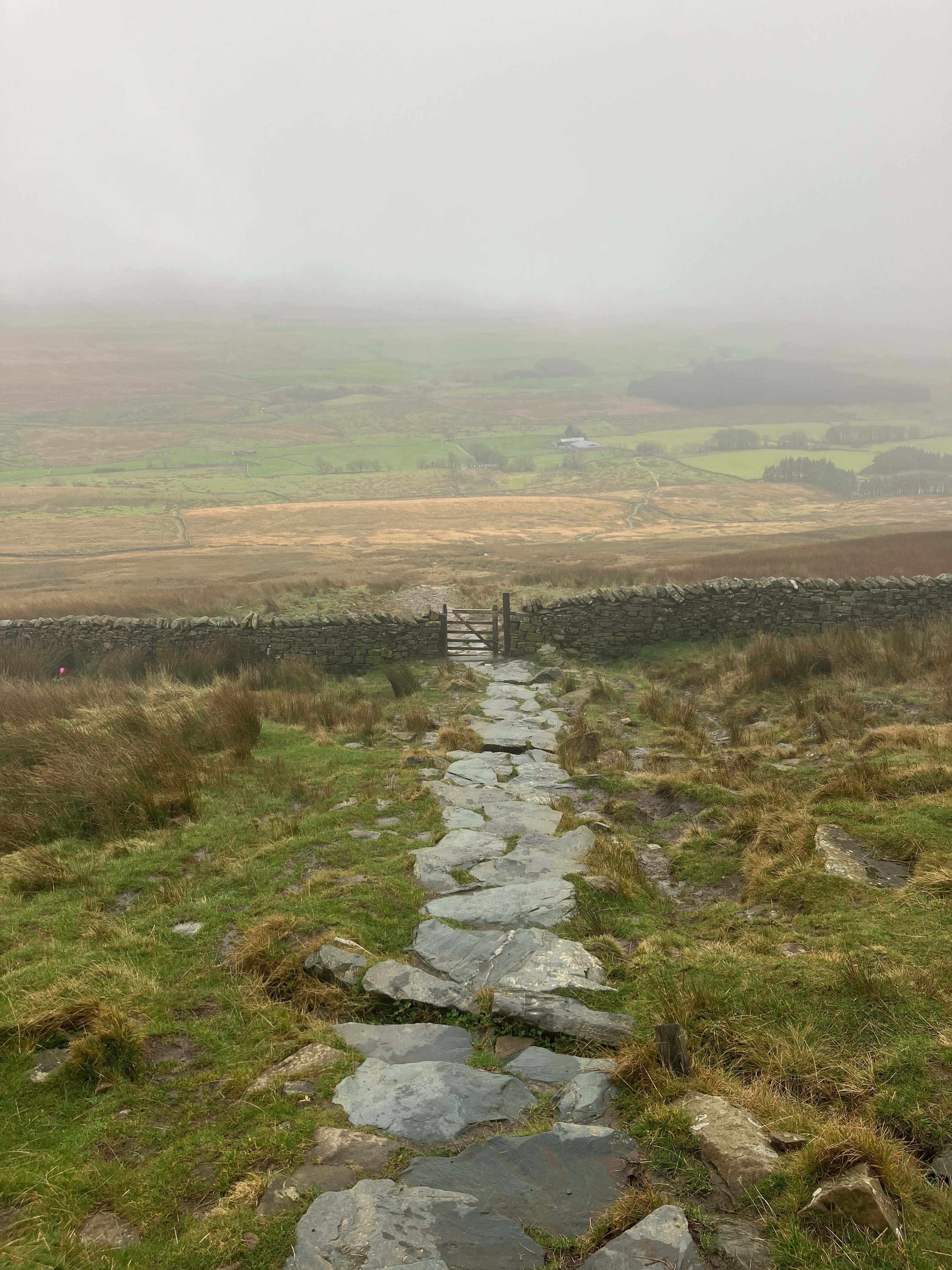 Whernside